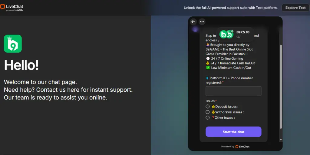 B9 Game Online Support